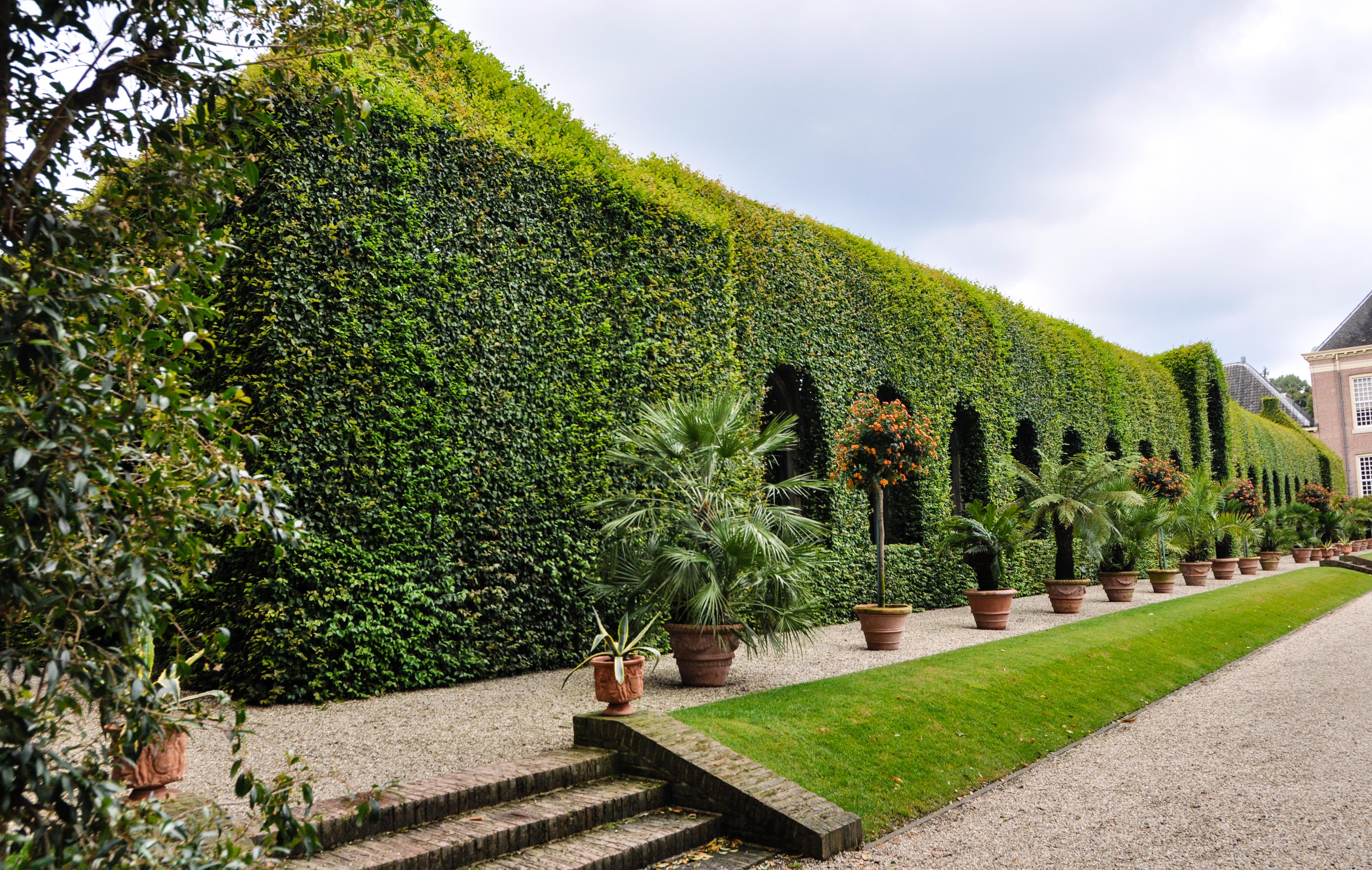 Garden Inspiration: Palace Het Loo, Thinking Outside the Boxwood- Hornbeam avenue 