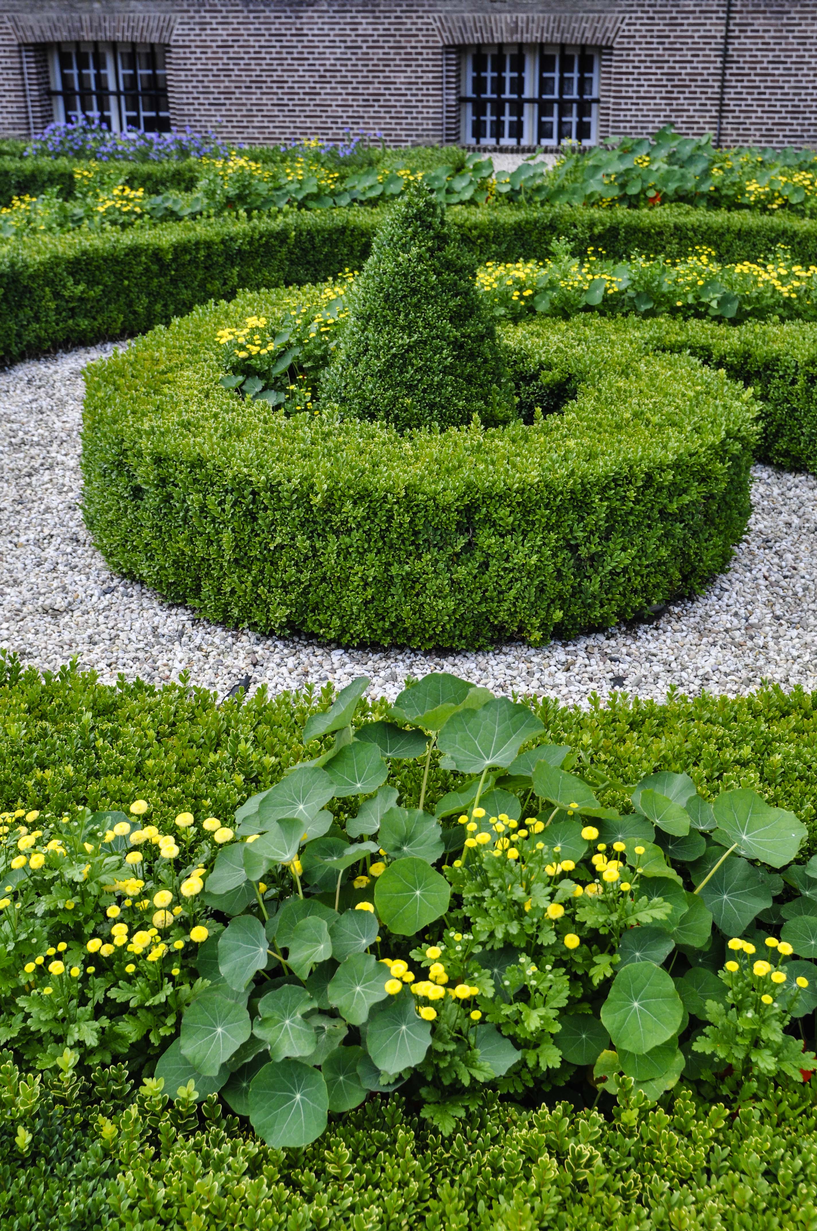 Garden Inspiration: Palace Het Loo, Thinking Outside the Boxwood- boxwood, nasturtium, and garden mums 