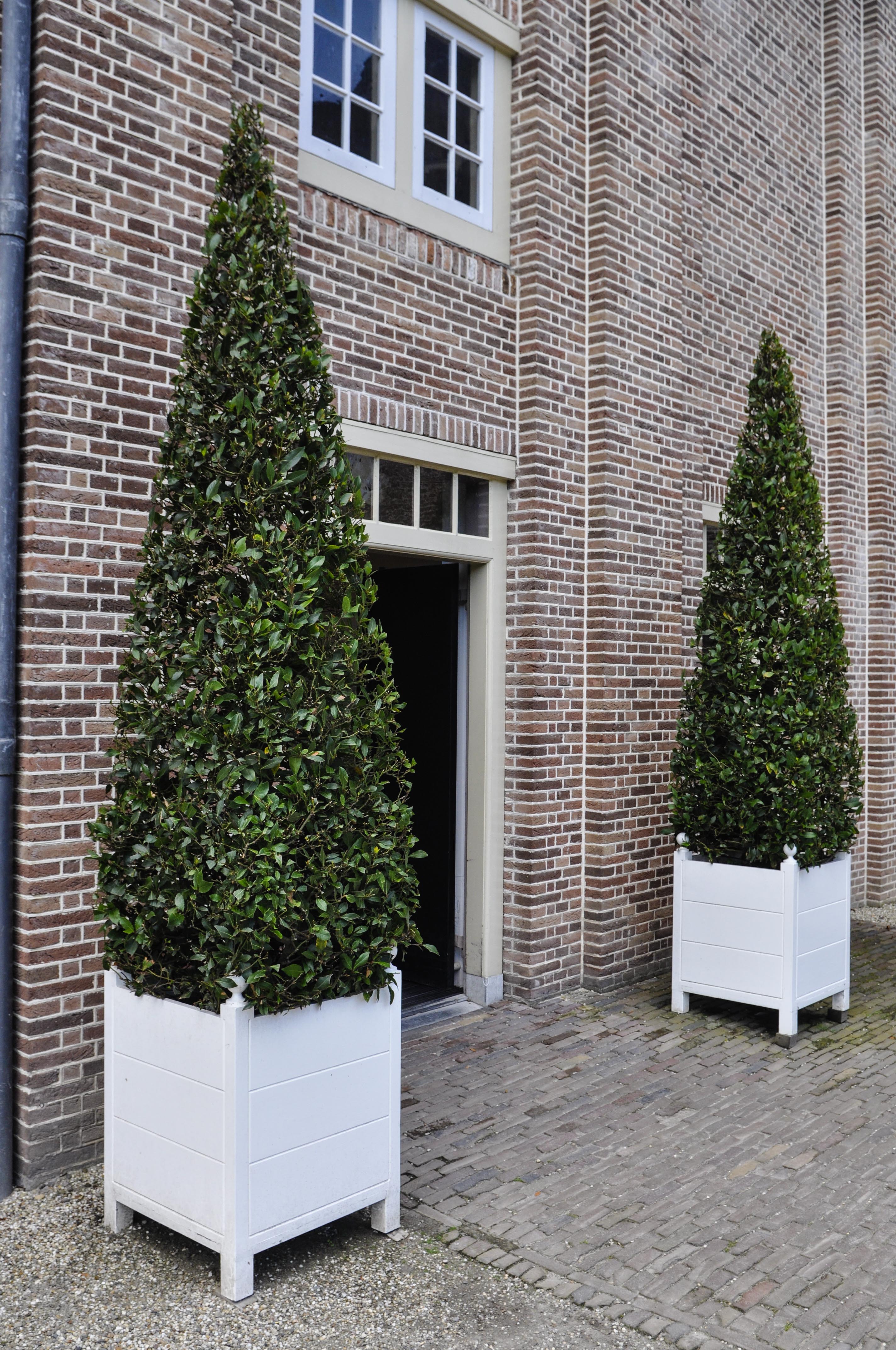 Garden Inspiration: Palace Het Loo, Thinking Outside the Boxwood