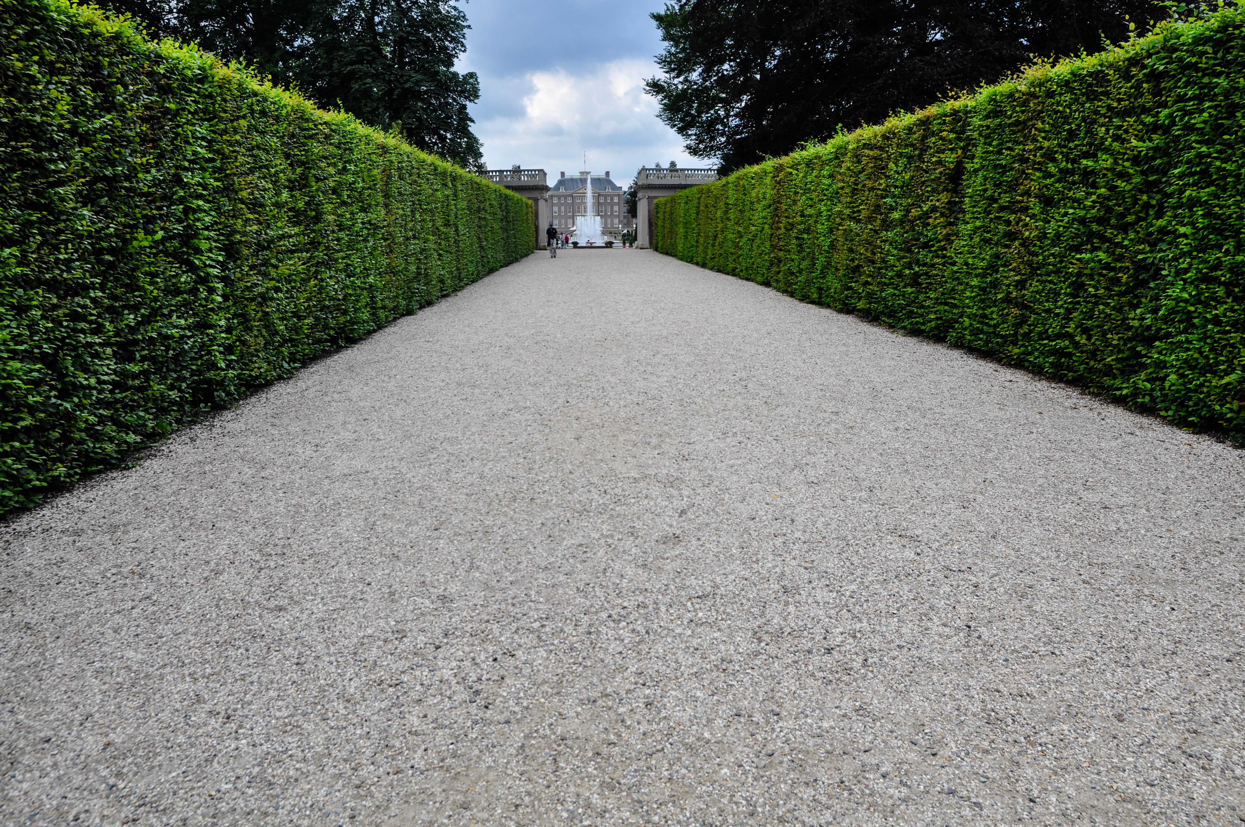 Garden Inspiration: Palace Het Loo, Thinking Outside the Boxwood- Beech hedge