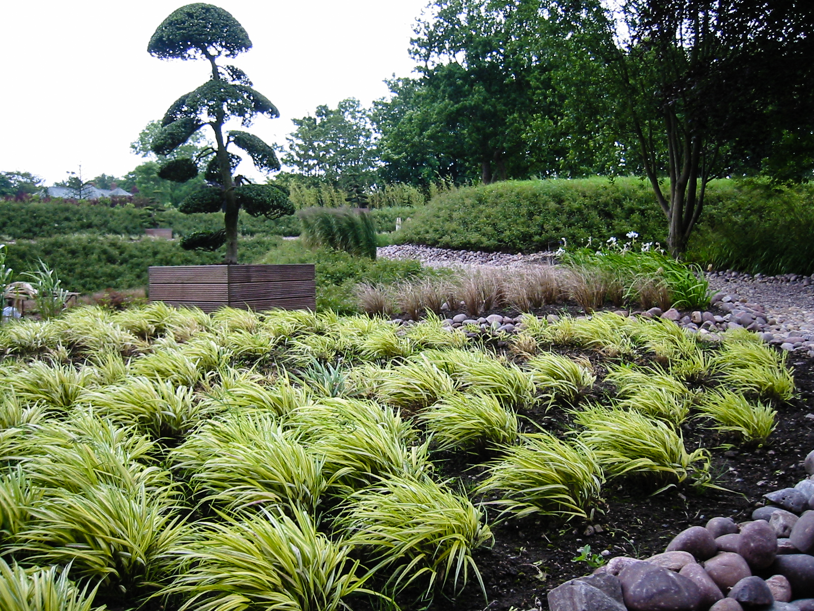 Garden Inspiration, Modern Cheshire Garden, Thinking Outside the Boxwood