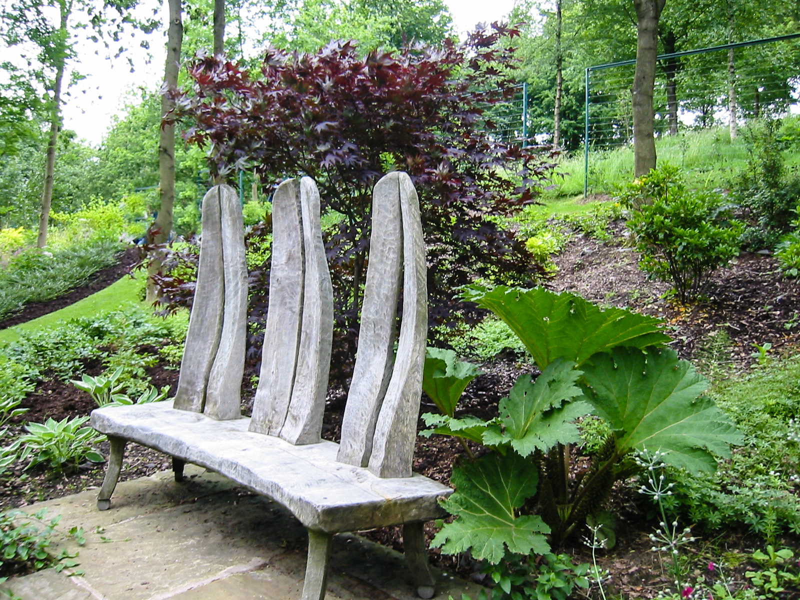 Garden Inspiration, Modern Cheshire Garden, Thinking Outside the Boxwood
