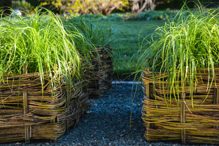 Things to do with Willow - Wattle Planters, Thinking Outside the Boxwood