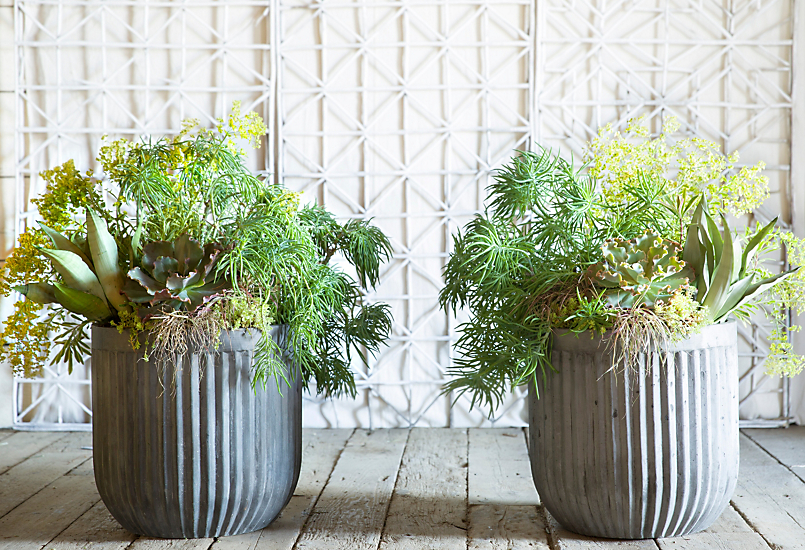 Selecting Containers: Size and Scale, Thinking Outside the Boxwood