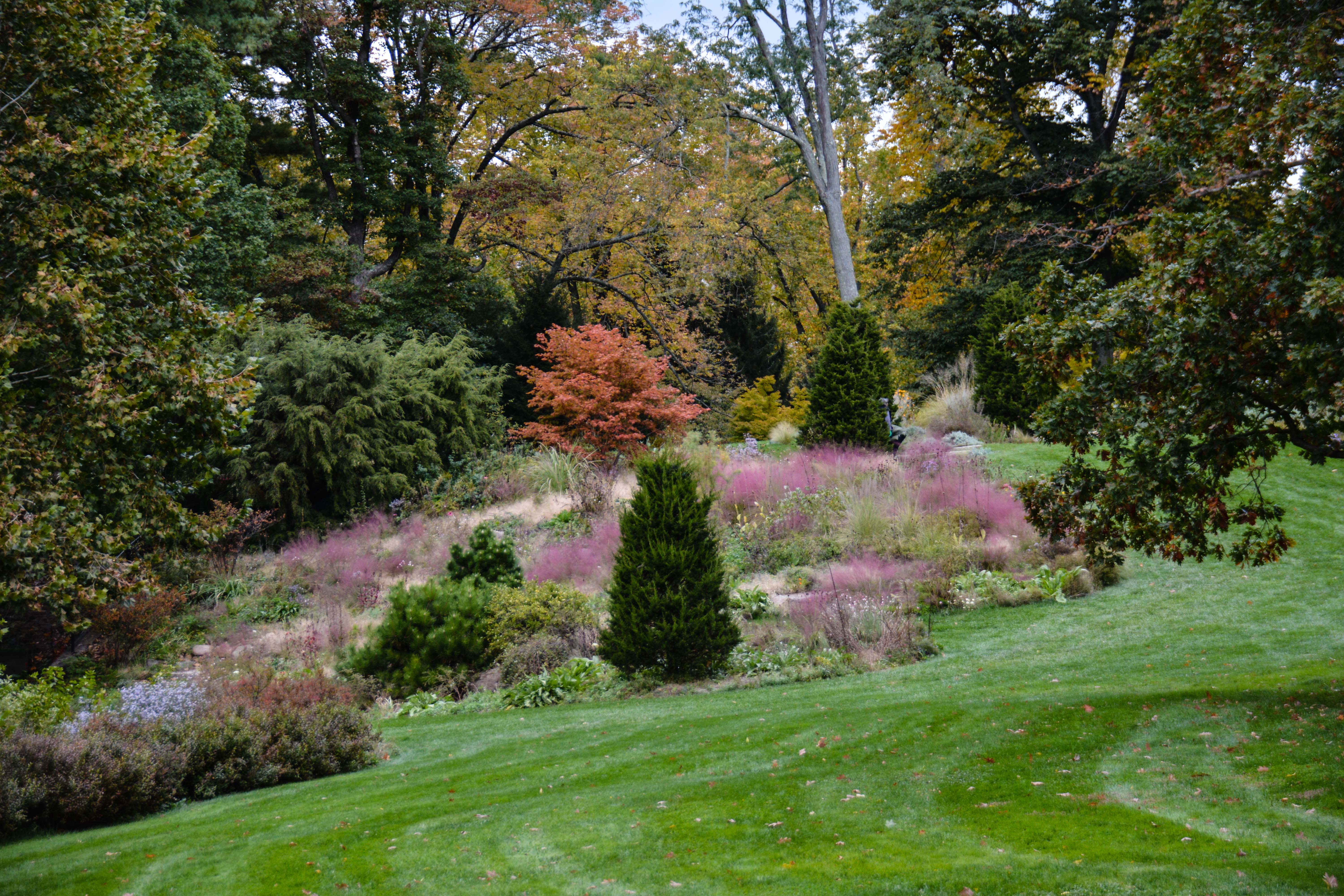 Chanticleer- A Pleasure Garden, Thinking Outside the Boxwood