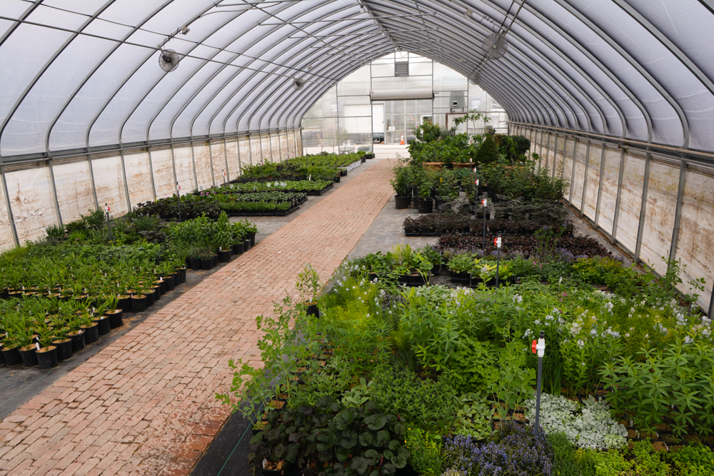 Greenhouse in the Spring, Thinking Outside the Boxwood