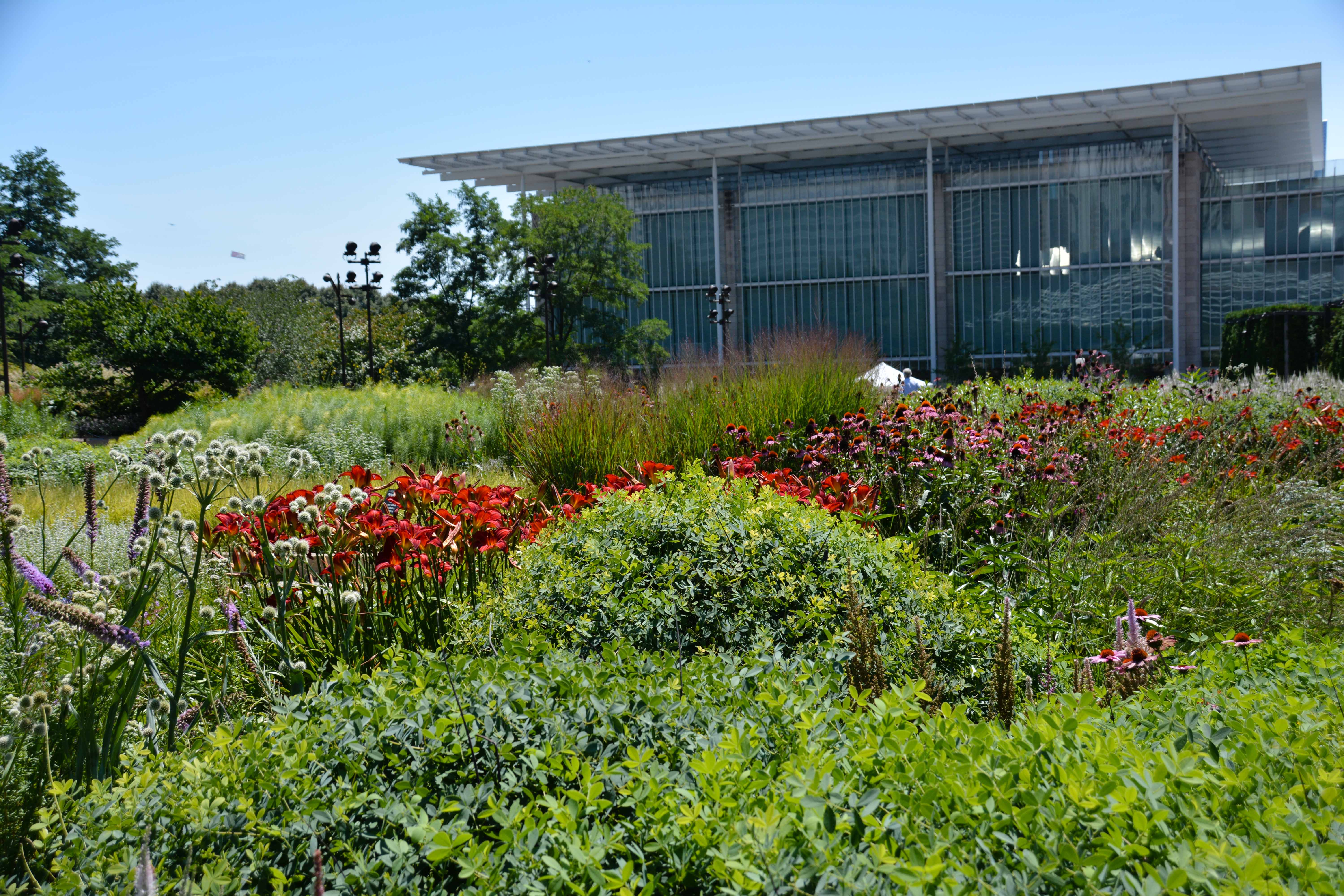 The Lurie Garden - Our Great Midwest Road Trip, Thinking Outside the Boxwood
