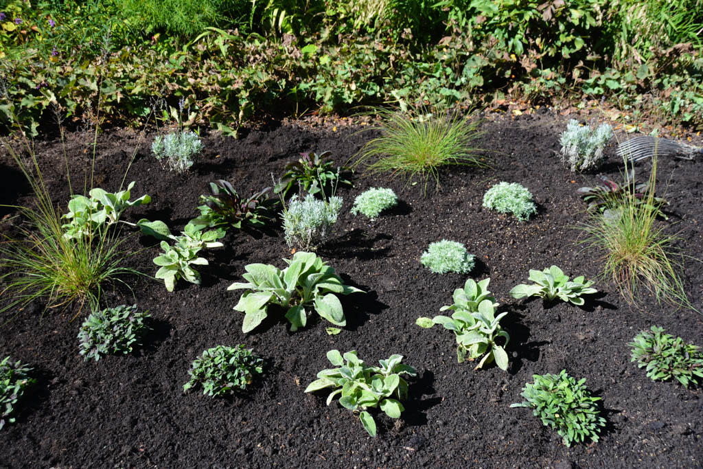 Daring Forms with Longfield Gardens, Thinking Outside the Boxwood