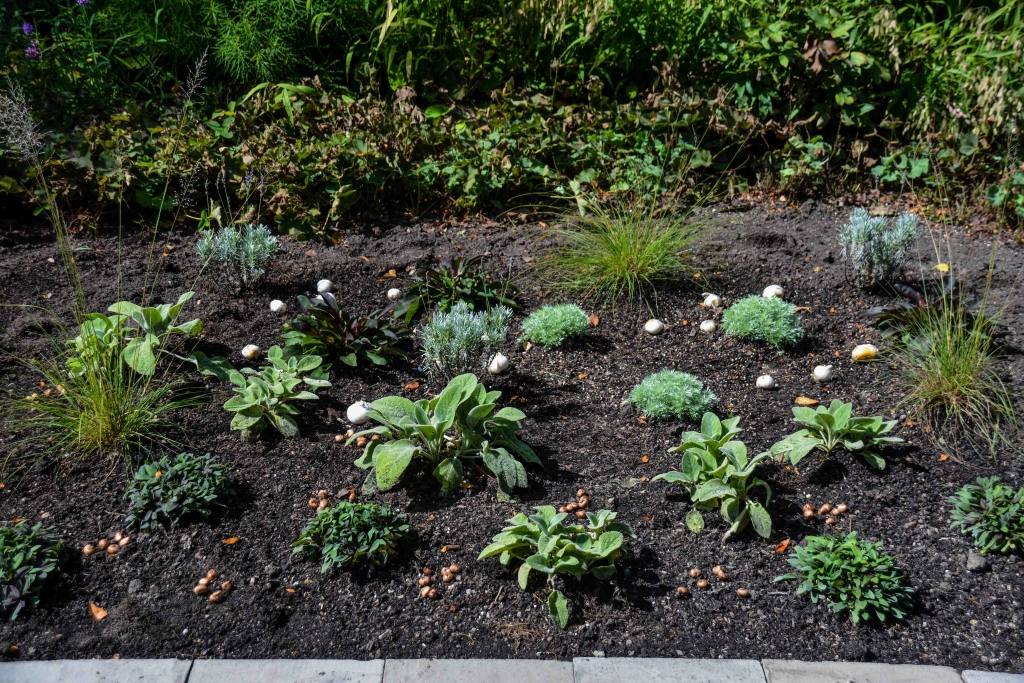 Daring Forms with Longfield Gardens, Thinking Outside the Boxwood