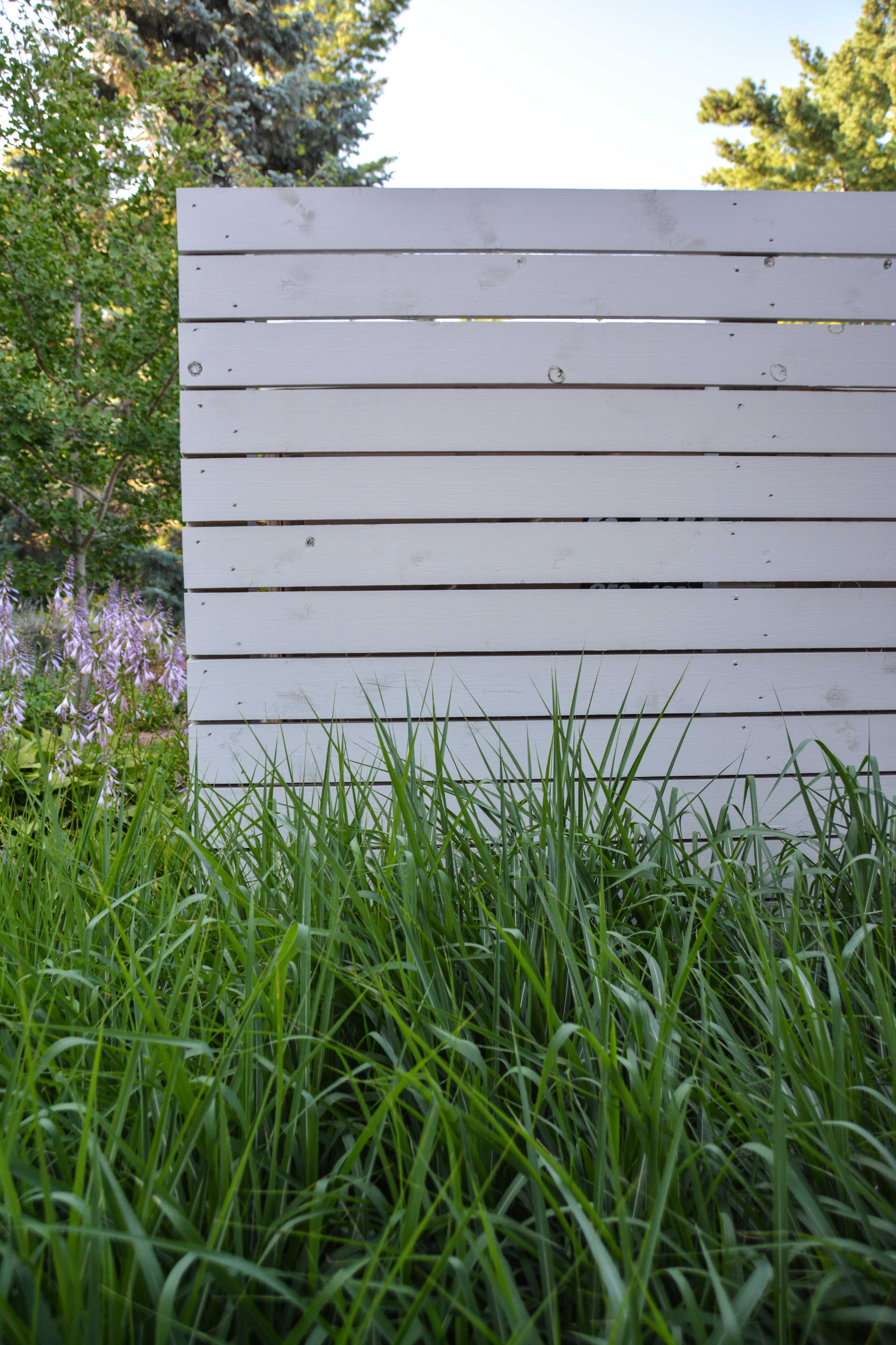 Panicum virgatum 'Northwind', 7 Essential Ornamental Grasses, Thinking Outside the Boxwood 