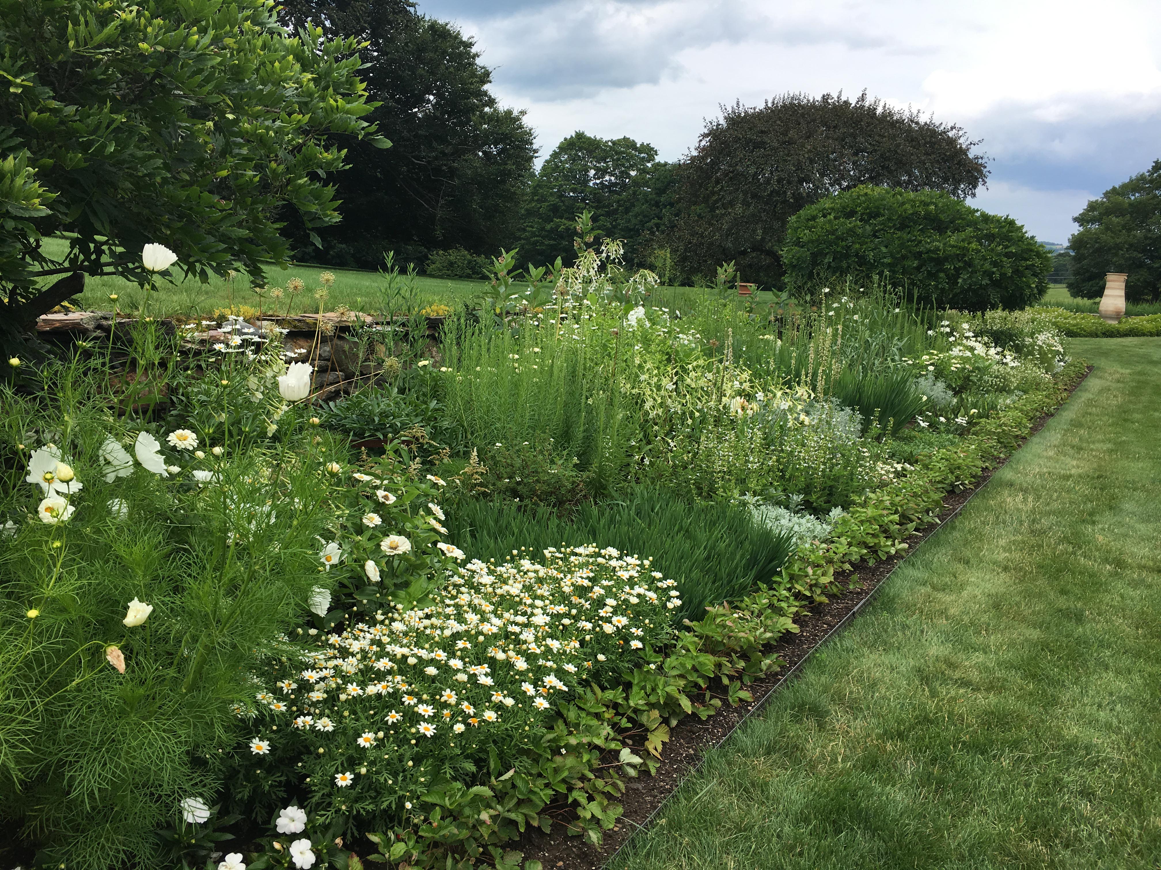 The white perennial border – Moon Garden - at White Flower Farm – More at Thinkingoutsidetheboxwood.com