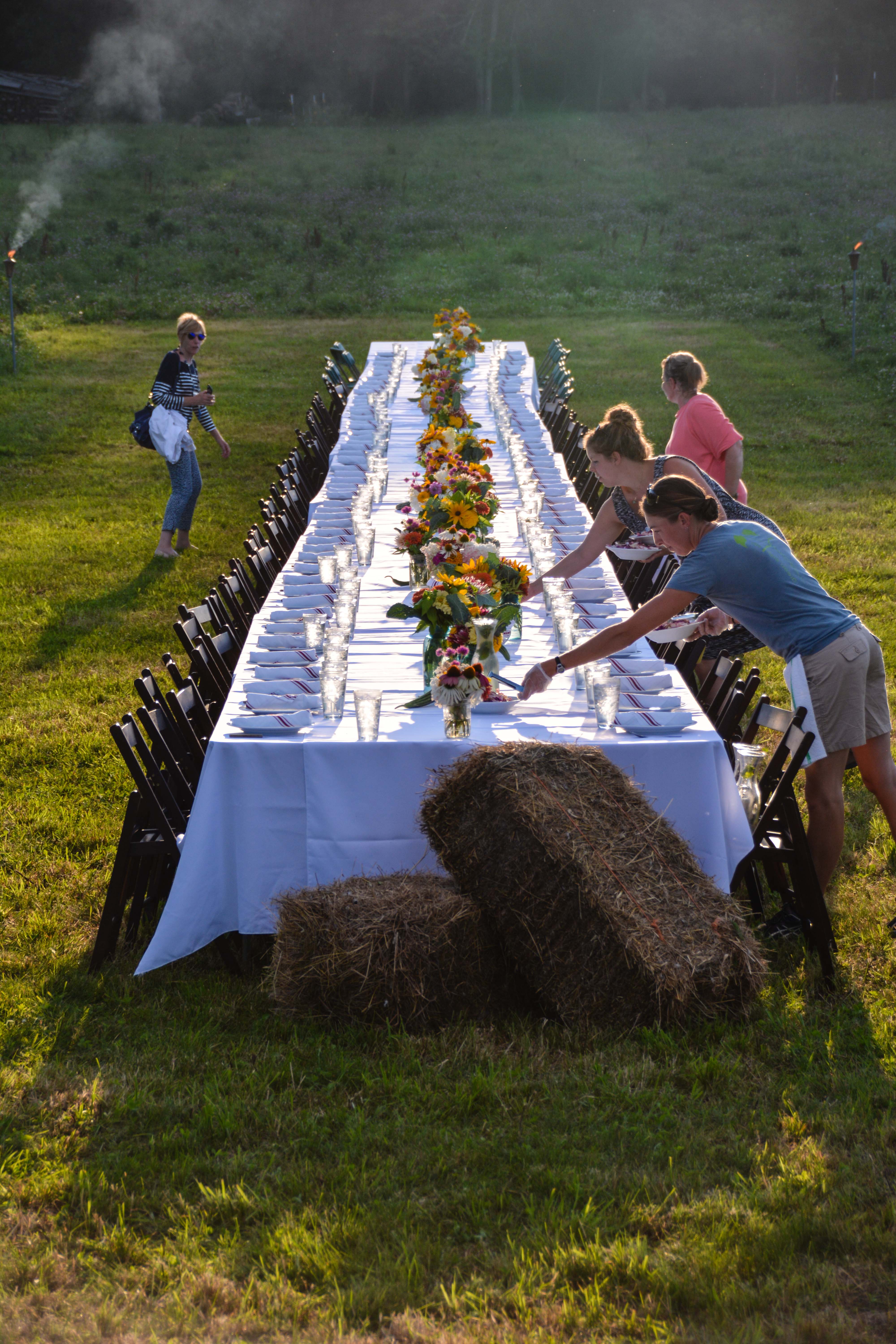 Field to table dinner with the PPA at Tangletown Gardens Farm, Minneapolis, MN - More images at Thinkingoutsidetheboxwood.com