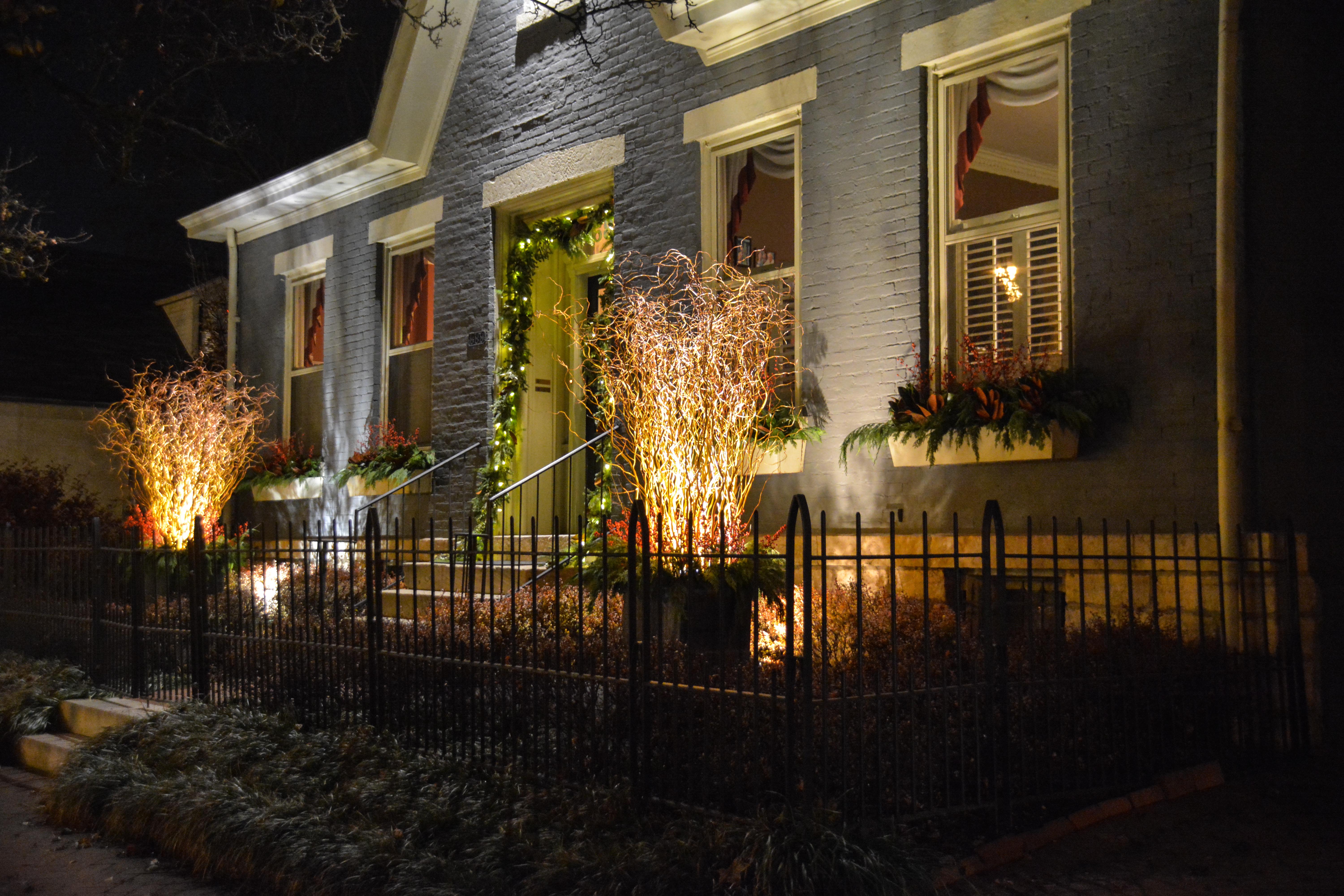Holiday lights in German Village. Feature a collar of greens and curly willow lit from interior spot lights. McCullough's Landscape & Nursery. Thinking Outside the Boxwood